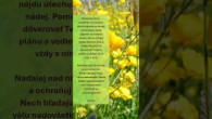 ECAV / Pôstne modlitby 2.4.2026 #prayer #modlitba
