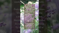 ECAV / Pôstne modlitby 27.3.2026 #prayer #modlitba