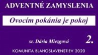 Komunita Blahoslavenstiev / ADVENTNÉ ZAMYSLENIA 2020_2. ADVENTNÁ NEDEĽA