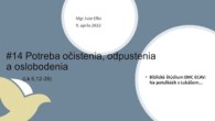 ECAV / #14 Potreba očistenia, odpustenia a oslobodenia (Lk 5,12 – 39)