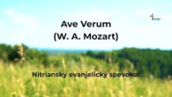 ECAV / Ave Verum (W. A. Mozart)