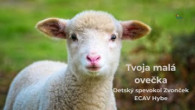 ECAV / Tvoja malá ovečka