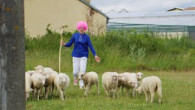 Koinonia Ján Krstiteľ / Kde Joyo naháňa ovce? 🐑🤔 CHRISTILAND 2024 - 29.-30. JÚNA - VYŠNÝ KLÁTOV