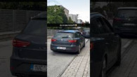 Godzone / To čo tam kričia?