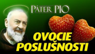 Po stopách Pátra Pia / Páter Pio: Sem Vás privedie poslušnosť