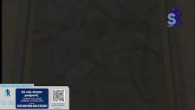 Slovensky dohovor za rodinu / Korunka Božieho milosrdenstva a Krížová cesta z Lagiewnikov